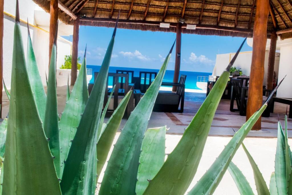 Ocean Front Villa Marlin, Best Location In Hotel Zone #109 Cancún Exterior foto