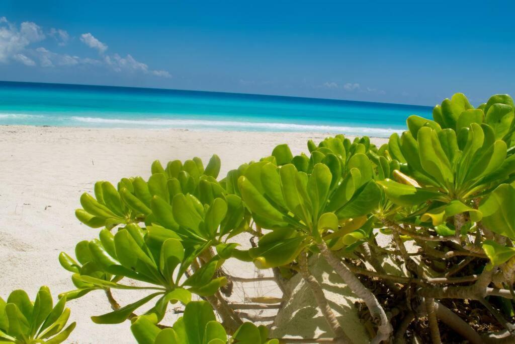 Ocean Front Villa Marlin, Best Location In Hotel Zone #109 Cancún Exterior foto